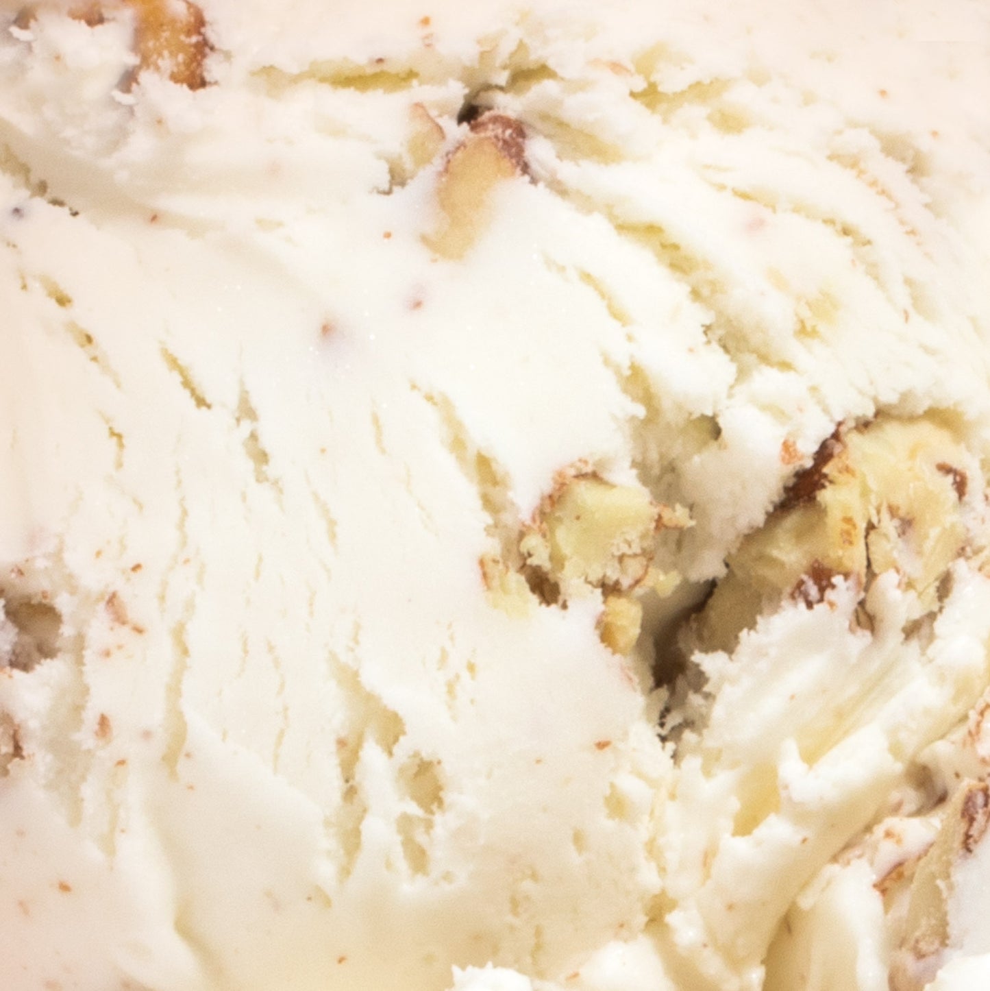 Middle West Whiskey & Pecans Pint Jeni's Splendid Ice Creams
